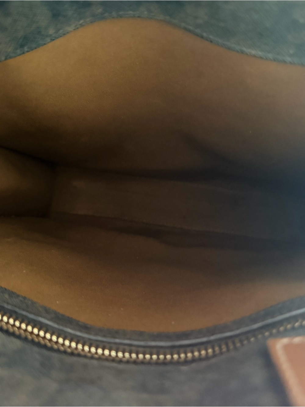 Celine Triomphe Canvas Vertical Cabas Tote - Picture 7 of 9